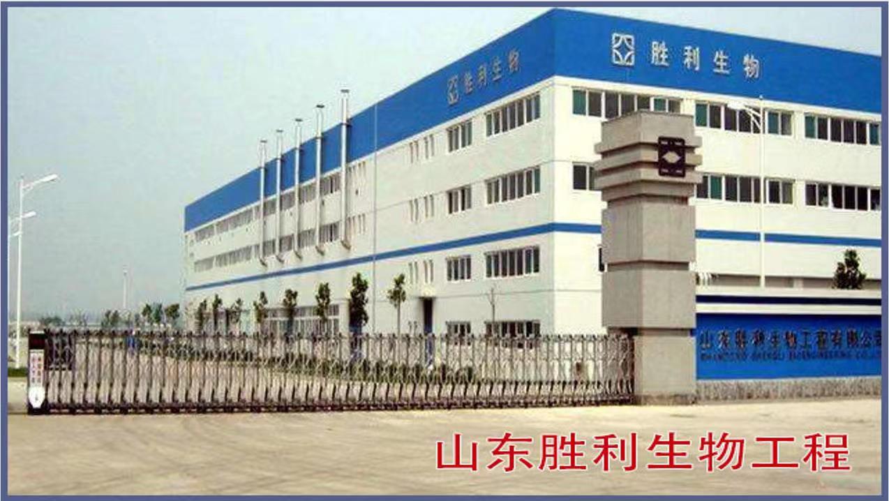 ɽ��ʤ�����﹤��